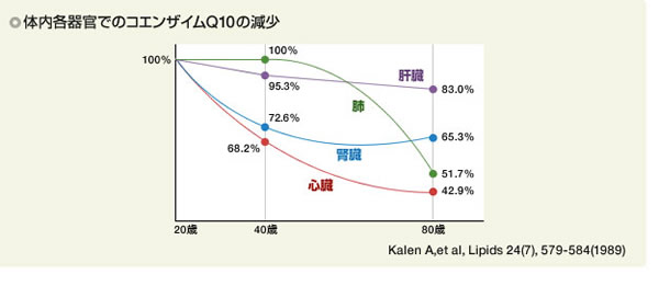 体内各器官のコエンザイムQ10の減少