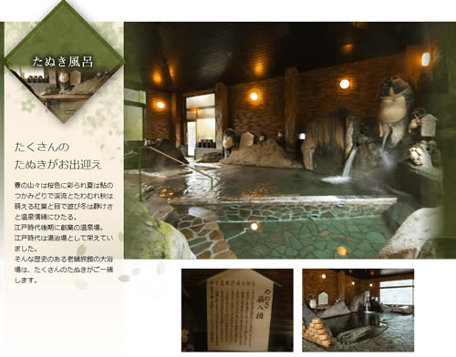 あつぎ飯山温泉　元湯旅館　たぬき風呂